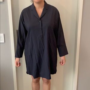 Everlane blue dress